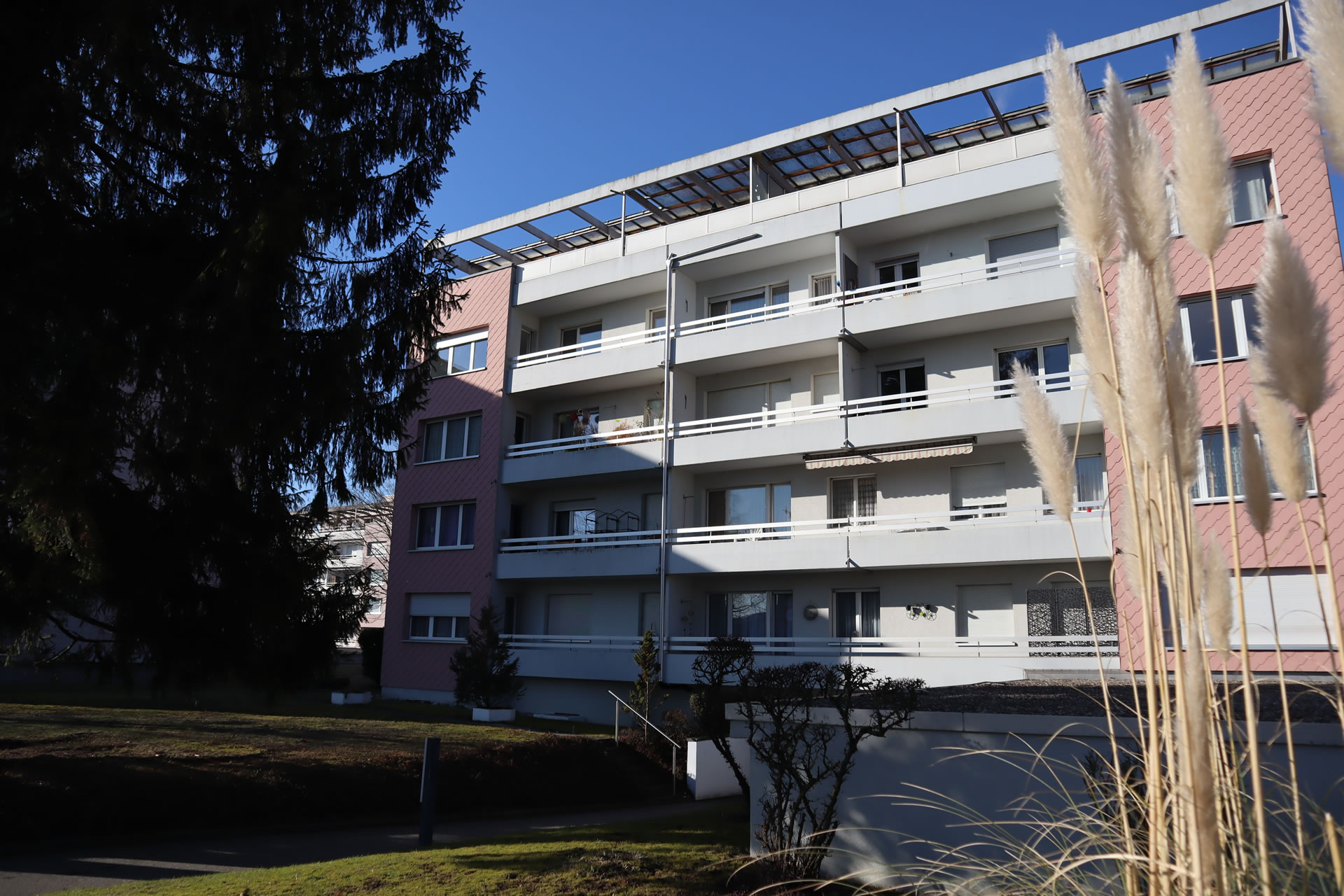 Ruhig gelegene, teilsanierte 3.5-Zimmerwohnungen mit Garage und Nebenraum, Nähe ÖV