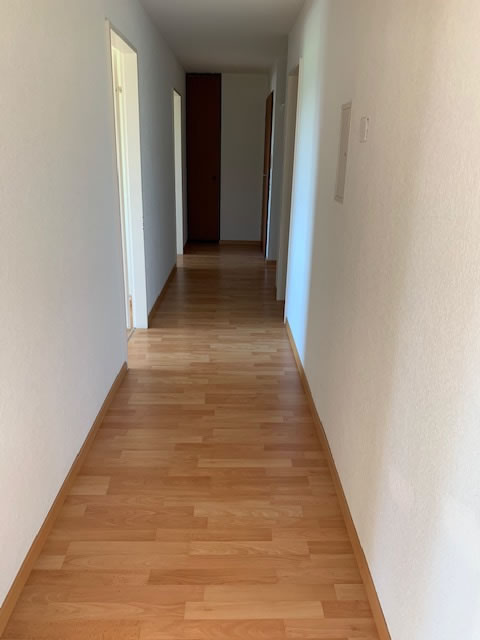 Ruhig gelegene, teilsanierte 3.5-Zimmerwohnungen mit Garage und Nebenraum, Nähe ÖV